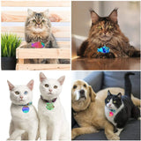 5 Pcs Cats Dogs Hanging Tags Resin Mold DIY Jewelry Keychain