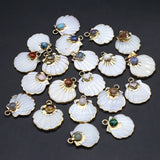 5 Pcs Scallop Shape Natural Shell Pendants for Jewelry Making