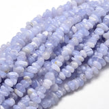 5 Strand Natural Chip Beads for DIY Jewelry Making 5~14x4~10mm
