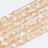 Natural Trochid Shell Bead Round Nuggets Shell Beads for Jewelry Making