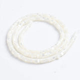 Natural Trochid Shell Bead Round Nuggets Shell Beads for Jewelry Making