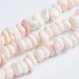 Natural Trochid Shell Bead Round Nuggets Shell Beads for Jewelry Making