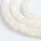 Natural Trochid Shell Bead Round Nuggets Shell Beads for Jewelry Making