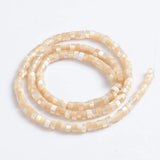 Natural Trochid Shell Bead Round Nuggets Shell Beads for Jewelry Making