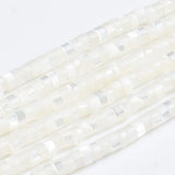 Natural Trochid Shell Bead Round Nuggets Shell Beads for Jewelry Making