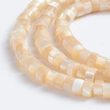 Natural Trochid Shell Bead Round Nuggets Shell Beads for Jewelry Making