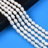 5 Strands Freshwater Pearl Beads Oval 8.5-12x6.5-7.5mm
