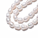 5 Strands Freshwater Pearl Beads Oval 8.5-12x6.5-7.5mm