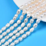 5 Strands Freshwater Pearl Beads Oval 8.5-12x6.5-7.5mm