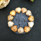 5 pcs Coral Jade Heart Beads Natural Gem Stone