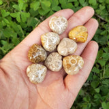 5 pcs Coral Jade Heart Beads Natural Gem Stone