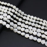 5 Pc Mother-of-Pearl Sea Water Rose Beads for Jewelry Making DIY