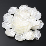 Acrylic Shell Leaves Pendant Conch Shell for Jewelry Making