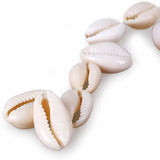 Natural Shell Beads Seashells Conch for Bracelet Boho Jewelry Making