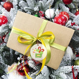 50 Pcs Clear Round Christmas Ornament Blanks Acrylic Blanks Hole Circle