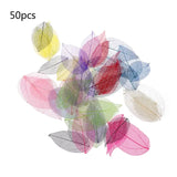 50 Pcs Mixed Natural Skeleton Leaves for Jewelry Making