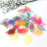50 Pcs Mixed Natural Skeleton Leaves for Jewelry Making