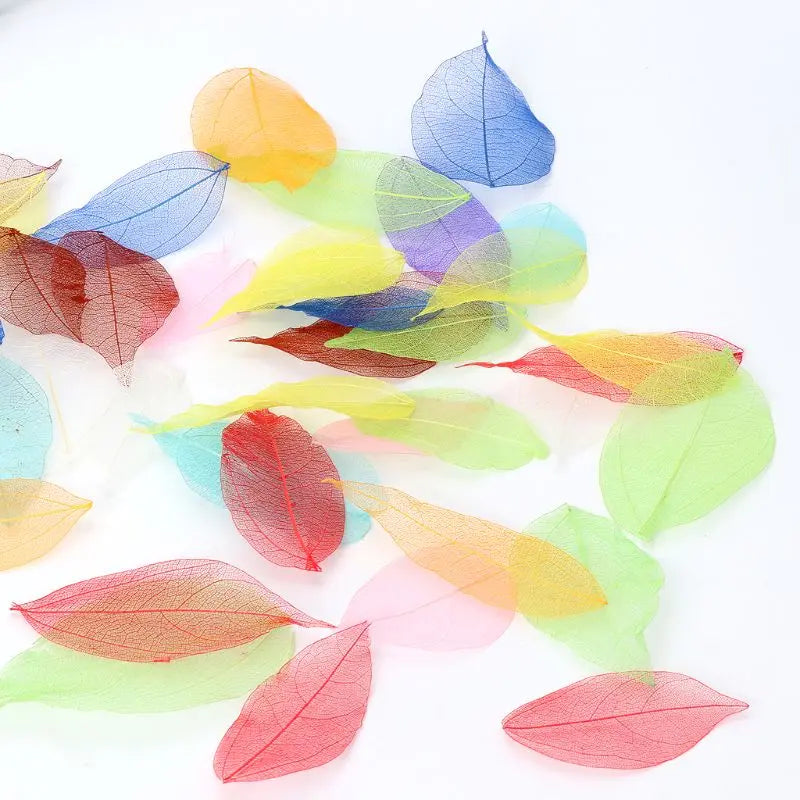 50 Pcs Mixed Natural Skeleton Leaves for Jewelry Making