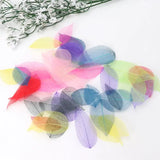 50 Pcs Mixed Natural Skeleton Leaves for Jewelry Making
