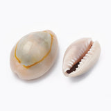 500G Cowrie Shell Beads for Jewelry Making DIY Bracelet Necklace Earring