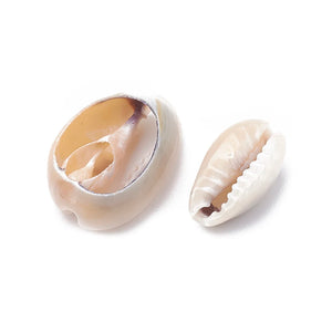 500G Cowrie Shell Beads for Jewelry Making DIY Bracelet Necklace Earring
