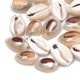 500G Cowrie Shell Beads for Jewelry Making DIY Bracelet Necklace Earring