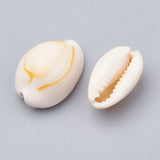 500G Cowrie Shell Beads for Jewelry Making DIY Bracelet Necklace Earring