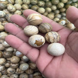 500G Chinese Painting Stone Ball Natural Crystal Stone
