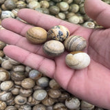 500G Chinese Painting Stone Ball Natural Crystal Stone
