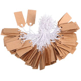 500Pcs Blank Writable Labels with Hanging String, 1.02 x 0.59 Inch
