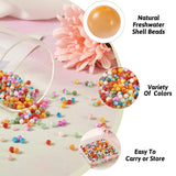 500Pcs 4mm Shell Beads 10 Colors Mixed for DIY Jewelry Making