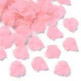 500g Acrylic Charm Pendants Maple Leaf Transparent Frosted DIY Jewelry Making