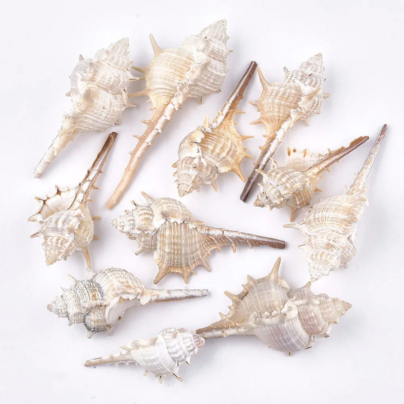 500g Conch Shell Beads for Jewelry Making DIY Crafts Antique