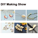 500g Mixed Cowrie Shell Beads PapayaWhip DIY Jewelry Three Sizes
