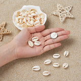 500g Mixed Cowrie Shell Beads PapayaWhip DIY Jewelry Three Sizes