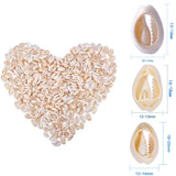 500g Mixed Cowrie Shell Beads PapayaWhip DIY Jewelry Three Sizes