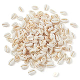 500g Mixed Natural Cowrie Shell Beads for DIY Jewelry Making