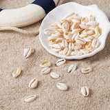 500g Mixed Natural Cowrie Shell Beads for DIY Jewelry Making