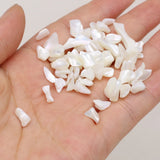 500g Natural Shell Gravel Chip Stone Beads Mother of Pearl Loose Beads