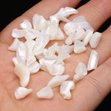 500g Natural Shell Gravel Chip Stone Beads Mother of Pearl Loose Beads