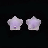 500g Transparent Acrylic Beads Star Mixed Frosted 10.5x11x7mm