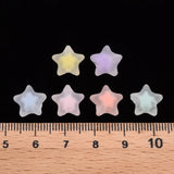 500g Transparent Acrylic Beads Star Mixed Frosted 10.5x11x7mm