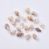500g Natural Shell Loose Beads for Jewelry Making