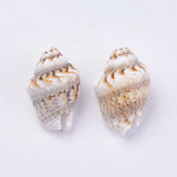 500g Natural Shell Loose Beads for Jewelry Making