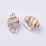 500g Natural Shell Loose Beads for Jewelry Making