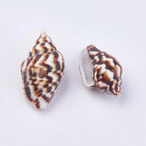 500g Natural Shell Loose Beads for Jewelry Making