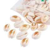 Mixed Spiral Shell Beads 500g for Jewelry Making DIY, Cowrie Shells, PapayaWhip