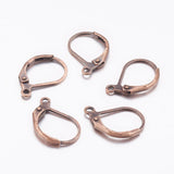 500pcs Brass Lever Back Hoop Earring Findings French Hook Ear Wire 15x10mm