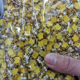 500pcs Cartoon Animal Rabbit Sticker Scrapbook Nail Slice