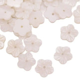 50PCS Natural Shell Flower Loose Beads Jewelry Making 8-14mm